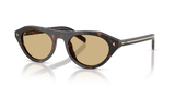 Root Tortoise / Light Brown (17N70R)