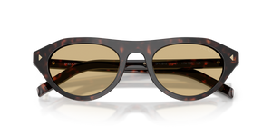 Root Tortoise / Light Brown (17N70R)
