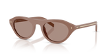 Pecan / Brown (28D02T)