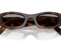 Juniper Tortoise / Grey (20D50Q)