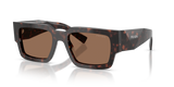 Root Tortoise / Dark Brown (17N06B)