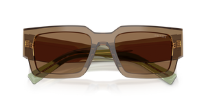 Terra / Light Brown (29E90F)