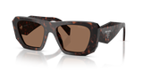 Root Tortoise / Dark Brown (17N06B)