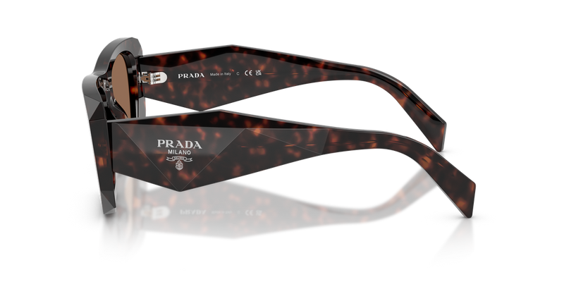 Prada PR B18S in Root Tortoise / Dark Brown (17N06B) - Alternate View