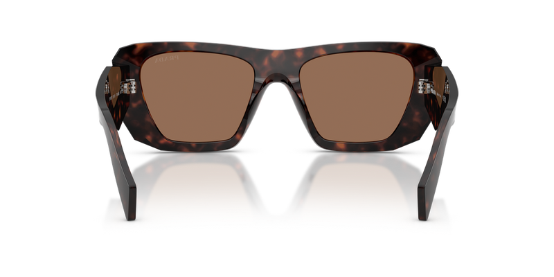 Prada PR B18S in Root Tortoise / Dark Brown (17N06B) - Alternate View