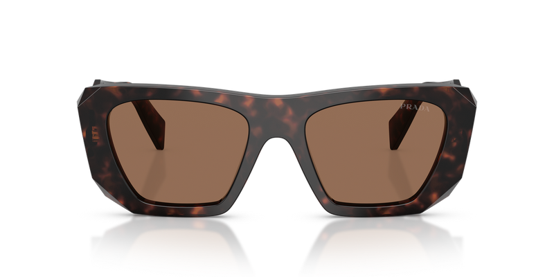 Prada PR B18S in Root Tortoise / Dark Brown (17N06B) - Alternate View