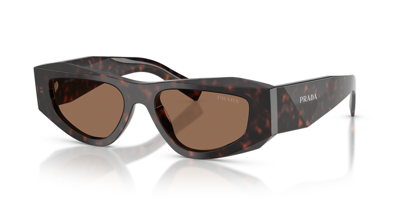 Prada PR B19SF in Root Tortoise / Dark Brown (17N06B) - Alternate View