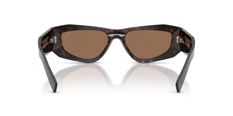 Prada PR B19SF in Root Tortoise / Dark Brown (17N06B) - Alternate View