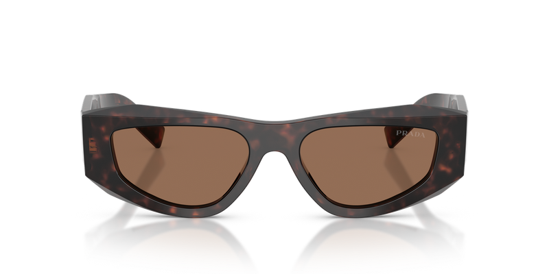 Prada PR B19SF in Root Tortoise / Dark Brown (17N06B) - Alternate View