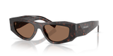 Root Tortoise / Dark Brown (17N06B)