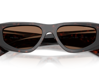 Root Tortoise / Dark Brown (17N06B)