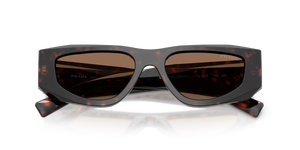 Root Tortoise / Dark Brown (17N06B)