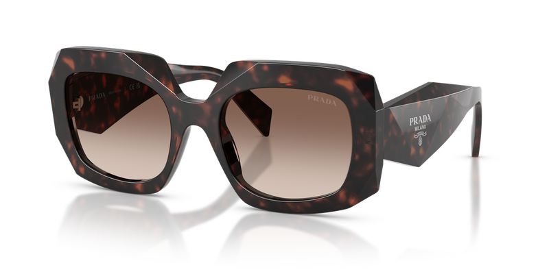 Prada PR B23SF in Root Tortoise / Brown Gradient (17N10S) - Alternate View