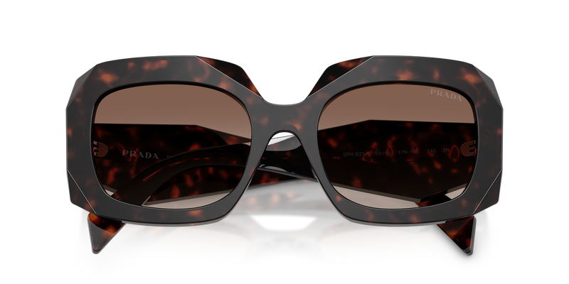 Prada PR B23SF in Root Tortoise / Brown Gradient (17N10S) - Alternate View