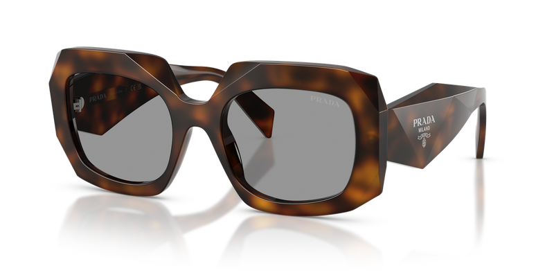 Prada PR B23SF in Juniper Tortoise / Grey (20D50Q) - Alternate View