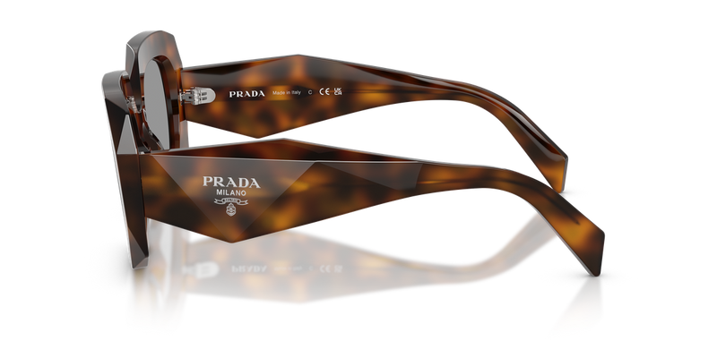 Prada PR B23SF in Juniper Tortoise / Grey (20D50Q) - Alternate View