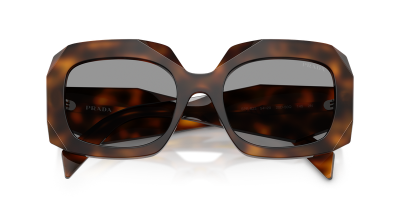 Prada PR B23S in Juniper Tortoise / Grey (20D50Q) - Alternate View