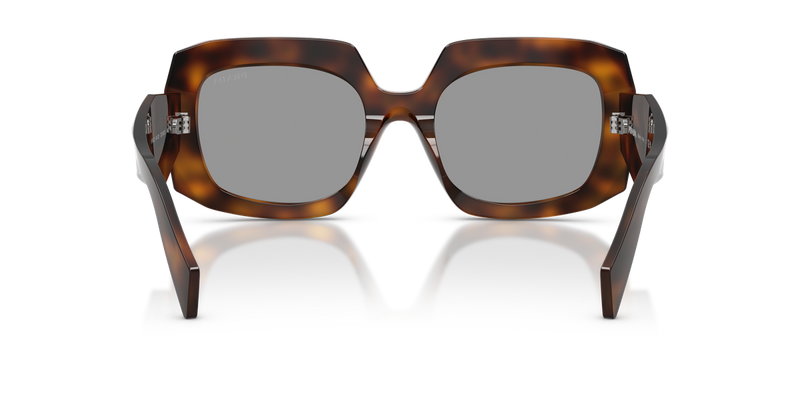 Prada PR B23S in Juniper Tortoise / Grey (20D50Q) - Alternate View