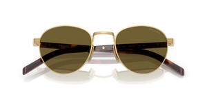 Gold / Dark Brown (5AK09Z)