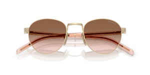 Pale Gold / Brown Gradient (ZVN0A6)