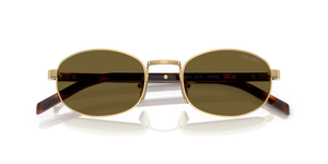 Gold / Dark Brown (5AK09Z)