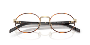 Pale Gold/Root Tortoise / Demo Lens (21E1O1)