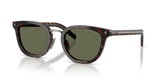 Root Havana / Green Polarized (17N03R)
