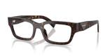 Root Tortoise / Demo Lens (17N1O1)