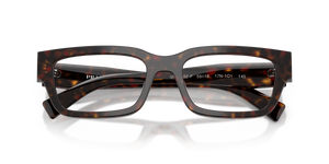 Root Tortoise / Demo Lens (17N1O1)