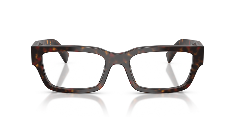 Prada PR C02VF in Root Tortoise / Demo Lens (17N1O1) - Alternate View