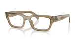 Transparent Bark / Demo Lens (22H1O1)
