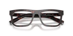 Root Tortoise / Demo Lens (17N1O1)