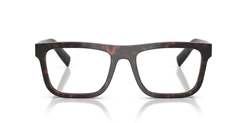 Prada PR C03VF in Root Tortoise / Demo Lens (17N1O1) - Alternate View