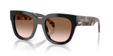 Black / Brown Gradient (28F90P)