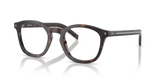 Root Tortoise / Demo Lens (17N1O1)