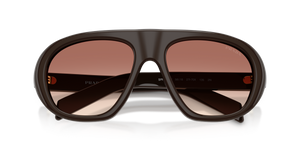 Cigar / Light Brown Gradient Bordeaux (27I70X)
