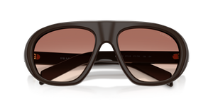 Cigar / Brown Gradient Bordeaux (27I70X)