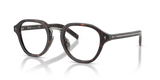 Root Tortoise / Demo Lens (17N1O1)