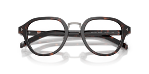 Root Tortoise / Demo Lens (17N1O1)