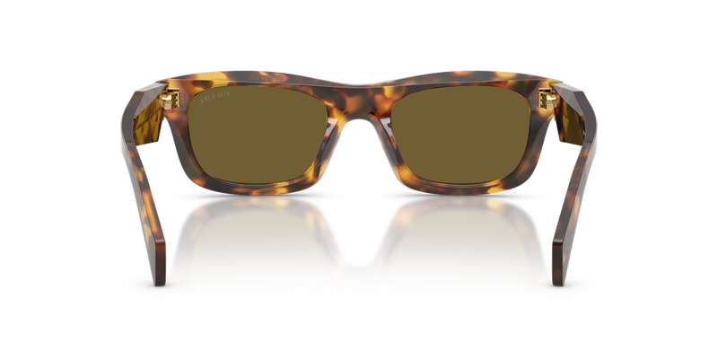 Prada PR C06S in Honey Tortoise / Dark Brown (14L09Z) - Temple Detail