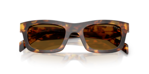 Honey Tortoise / Dark Brown Polarized (14L10U)