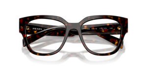 Root Tortoise / Demo Lens (17N1O1)