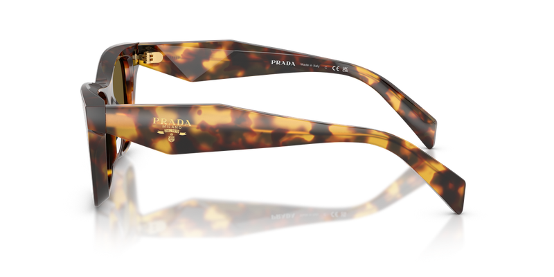 Prada PR C07S in Honey Tortoise / Dark Brown (14L09Z) - Back View