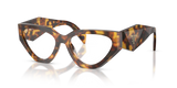 Honey Tortoise / Demo Lens (14L1O1)