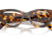 Honey Tortoise / Demo Lens (14L1O1)