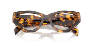 Honey Tortoise / Demo Lens (14L1O1)