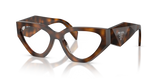 Juniper Tortoise / Demo Lens (20D1O1)