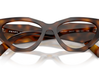 Juniper Tortoise / Demo Lens (20D1O1)