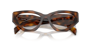 Juniper Tortoise / Demo Lens (20D1O1)