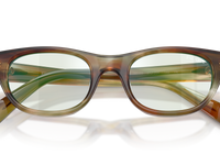 Striped Fall / Champagne Flash Bio (27J20X)